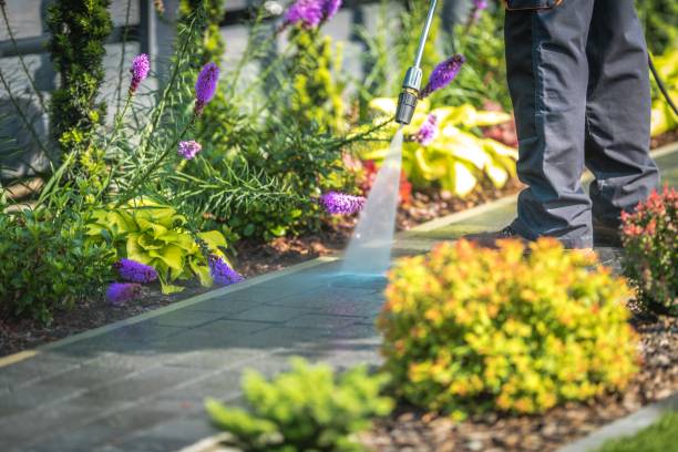 Best Dumpster Area Cleaning  in Ellwood City, PA